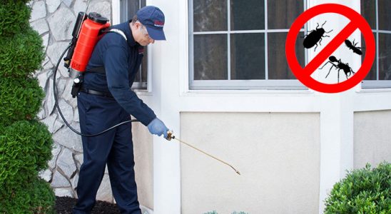 Söğütlü Dezenfeksiyon böcek ilaçlama ve haşere kontrolü — ilaclama-tr.com